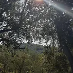 Palfi