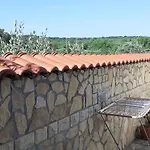 Affittacamere Palfi *