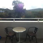 Palfi Guest house *