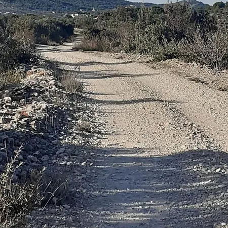 Palfi Vendégház *