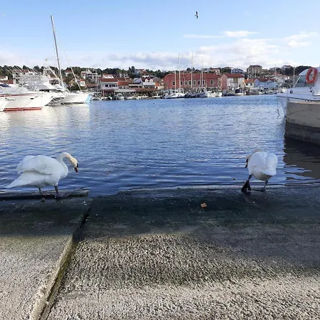 Vendégház Palfi Jezera