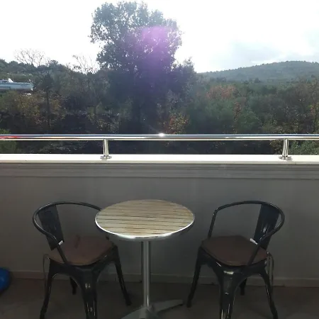Palfi Guest house *