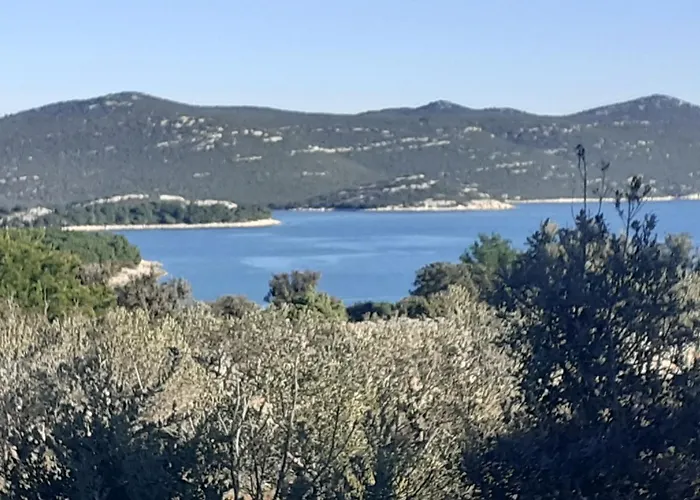 Palfi בית הארחה *