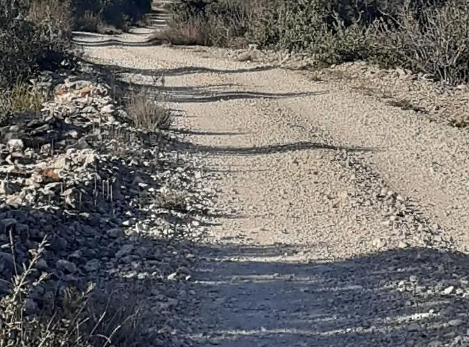 Palfi בית הארחה *