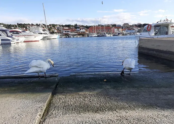 בית הארחה Palfi יזרה