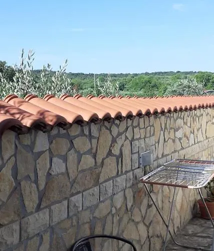 בית הארחה Palfi *